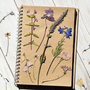 Pressed dried real flowers and natural herbs arranged collage an old notebook.
